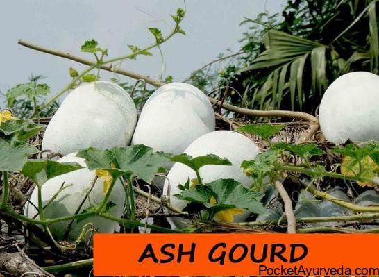 Kushmanda-Ash-Gourd