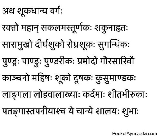 ANNASWAROOPA VIJNANEEYA ADHYAYA अन्नस्वरूप विज्ञानीय अध्याय : Ashatanga ...