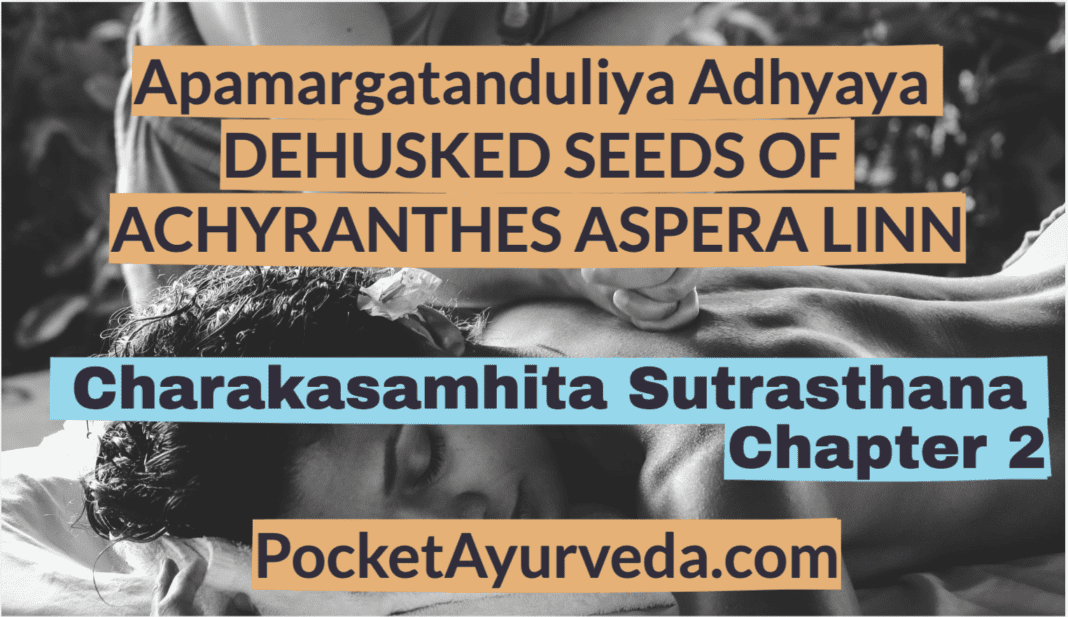 Apamargatanduliya Adhyaya - DEHUSKED SEEDS OF ACHYRANTHES ASPERA LINN - Charakasamhita Sutrasthana Chapter 2
