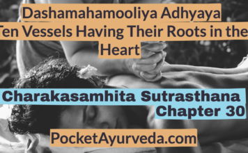 Charaka-Samhita-Sutrasthana-Chapter-30-Dashamahamooliya-Adhyaya-Ten-Vessels-Having-Their-Roots-in-the-Heart