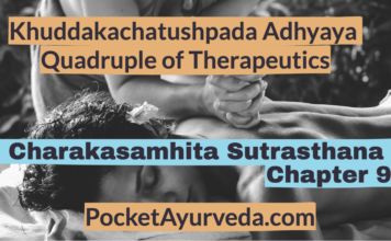 Charakasamhita-Sutrasthana-Chapter-9-Khuddakachatushpada-Adhyaya-Quadruple-of-Therapeutics