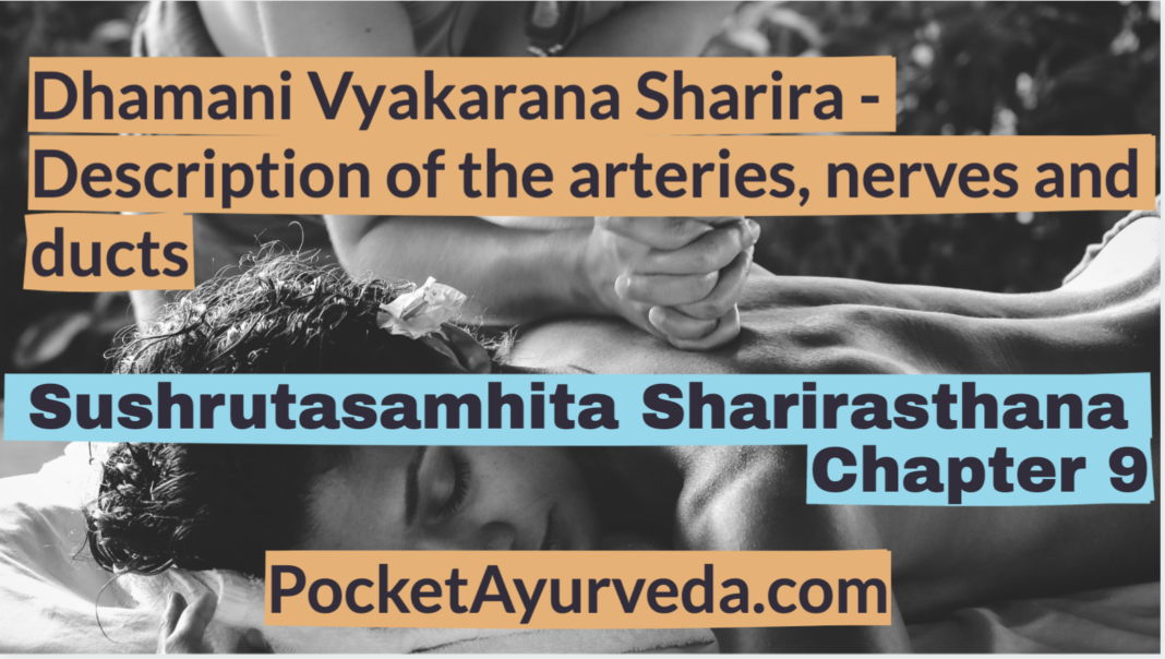 Dhamani Vyakarana Sharira - Description of the arteries, nerves and ducts