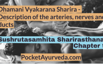 Dhamani Vyakarana Sharira - Description of the arteries, nerves and ducts