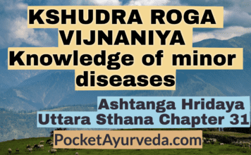 KSHUDRA ROGA VIJNANIYA - knowledge of minor diseases