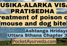 MUSIKA-ALARKA VISA PRATISEDHA - Treatment of poison of mouse and dog bite