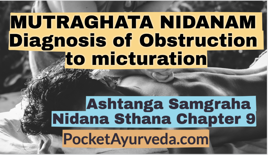 MUTRAGHATA NIDANAM - Diagnosis of Obstruction to micturation - Ashtanga Samgraha Nidanasthana Chapter 9