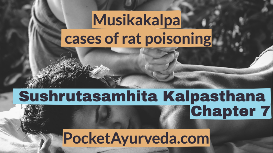 Musikakalpa-cases-of-rat-poisoning-Sushrutasamhita-Kalpasthana-Chapter-7