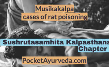 Musikakalpa-cases-of-rat-poisoning-Sushrutasamhita-Kalpasthana-Chapter-7
