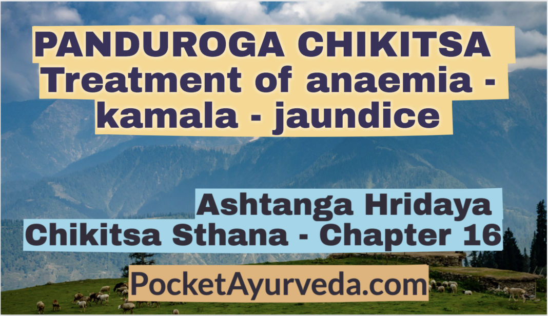 PANDUROGA CHIKITSA - Treatment of anaemia - kamala - jaundice