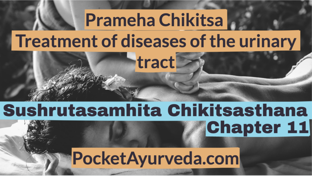 Prameha Chikitsa - Treatment of diseases of the urinary tract - Sushrutasamhita Chikitsasthana Chapter 11