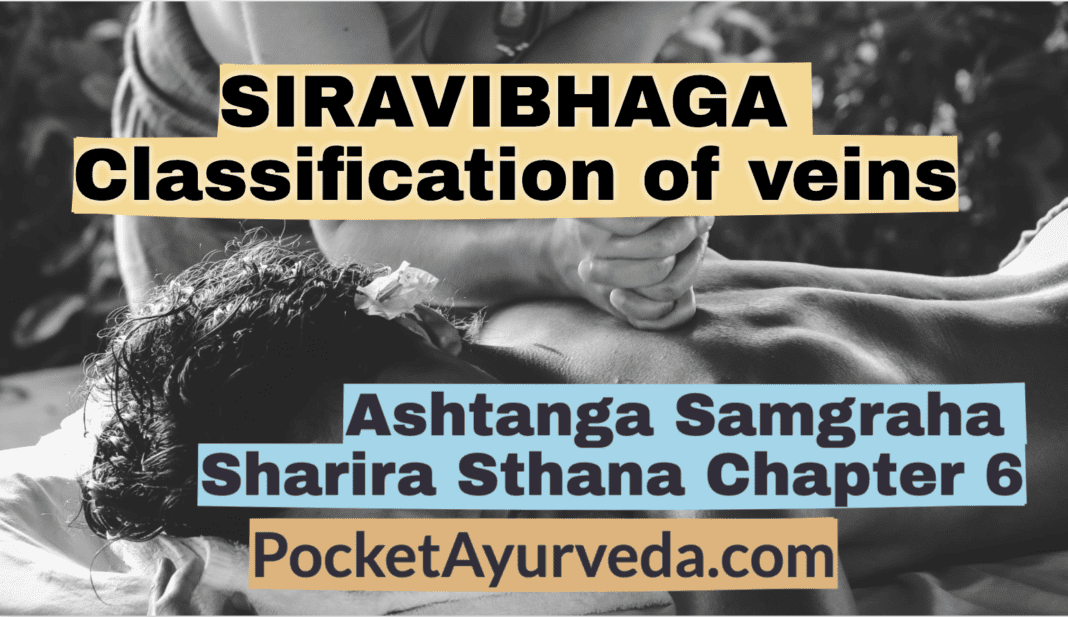 SIRAVIBHAGA - Classification of veins - Ashtanga Sangraha Sharira sthana Chapter 6