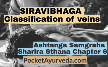 SIRAVIBHAGA - Classification of veins - Ashtanga Sangraha Sharira sthana Chapter 6