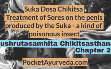 Suka-Dosa-Chikitsa-Treatment-of-Sores-on-the-penis-produced-by-the-Suka-a-kind-of-poisonous-insect-Sushrutasamhita-Chikitsasthana-Chapter-21