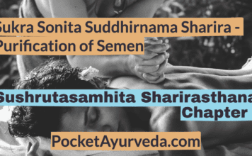 Sukra Sonita Suddhirnama Sharira - Purification of Semen - Sushrutasamhita Sharirasthana Chapter 2