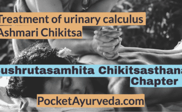 Treatment of urinary calculus - Ashmari Chikitsa - Sushrutasamhita Chikitsasthana Chapter 7