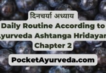 Dinacharya दिनचर्या अध्याय : Daily Routine According to Ayurveda : Ashtanga Hridayam Chapter 2 दिनचर्या-अध्याय-Daily-Routine-According-to-Ayurveda-Ashtanga-Hridayam-Chapter-2