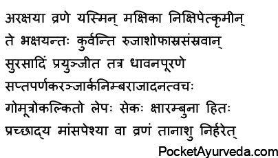 Flies deposit worms – bacteria etc. inside the ulcers which are not protected by bandaging,