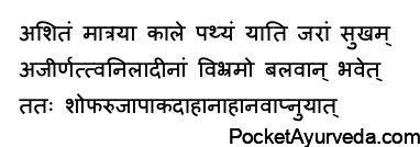 Food that should be consumed in small quantities at the correct time and healthful can be digested properly.