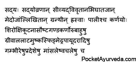 Sadyovrana Chikitsa – treatment of traumatic wounds