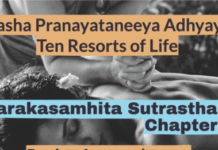 Charaka Samhita Sutrasthana Chapter 29 – Dasha Pranayataneeya Adhyaya – Ten Resorts of Life Charaka-Samhita-Sutrasthana-Chapter-29-Dasha-Pranayataneeya-Adhyaya-Ten-Resorts-of-Life