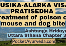 MUSIKA-ALARKA VISA PRATISEDHA – Treatment of poison of mouse and dog bite – Ashtanga Hridaya Chapter 38