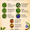 Suvarnaprashana Ingredients